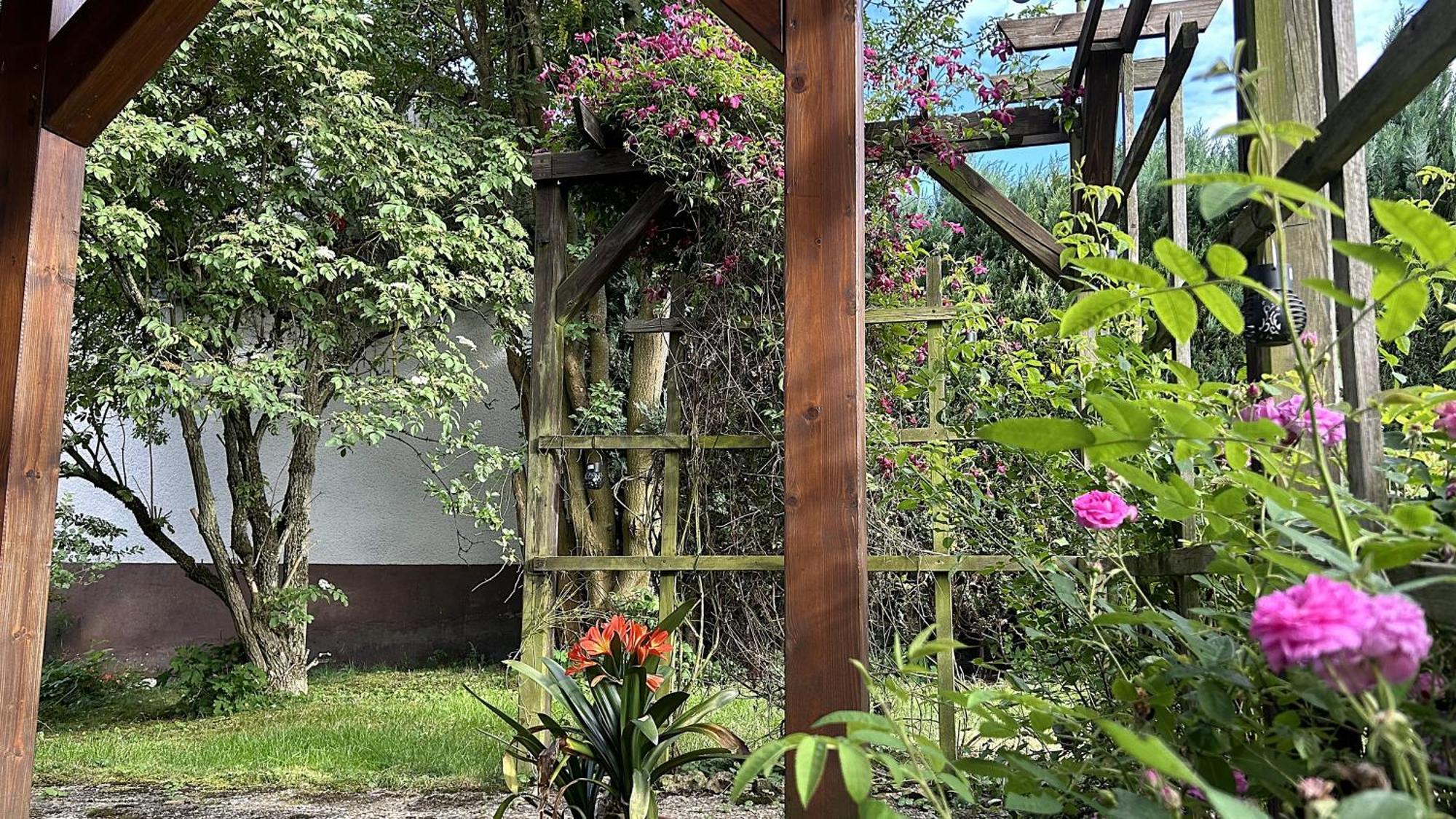 Grosszuegige Wohnung Mit Terrasse Und Gartenzugang - Das Komplette Erdgeschoss Биндлах Екстериор снимка